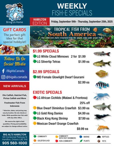 Big Al's (Hamilton) Weekly Specials September 19 to 25