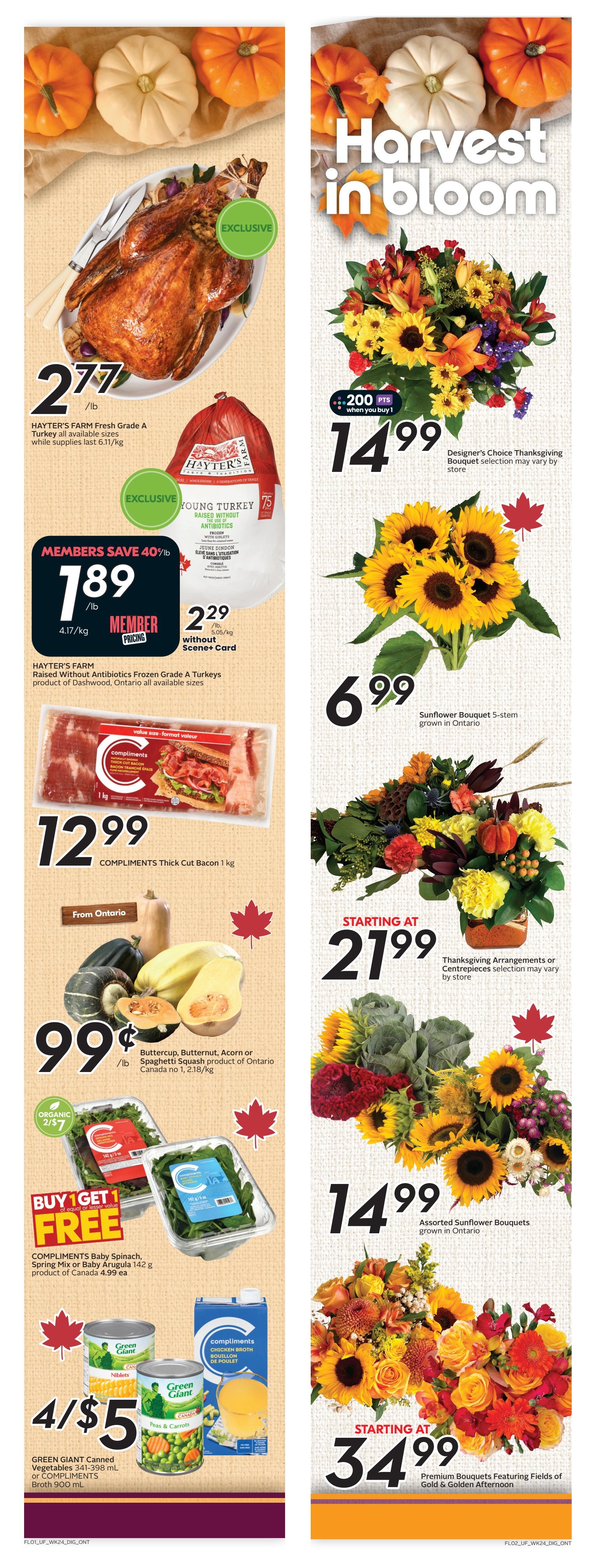 Sobeys Urban Fresh Flyer October 9 to 15