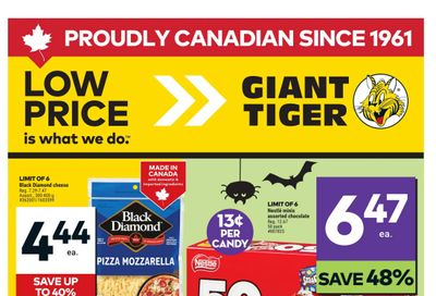 Giant Tiger (ON) Flyer October 15 to 21