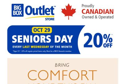 Big Box Outlet Store Flyer October 16 to 29