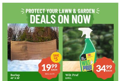 Lakeside Garden Gallery Flyer October 17 to 23