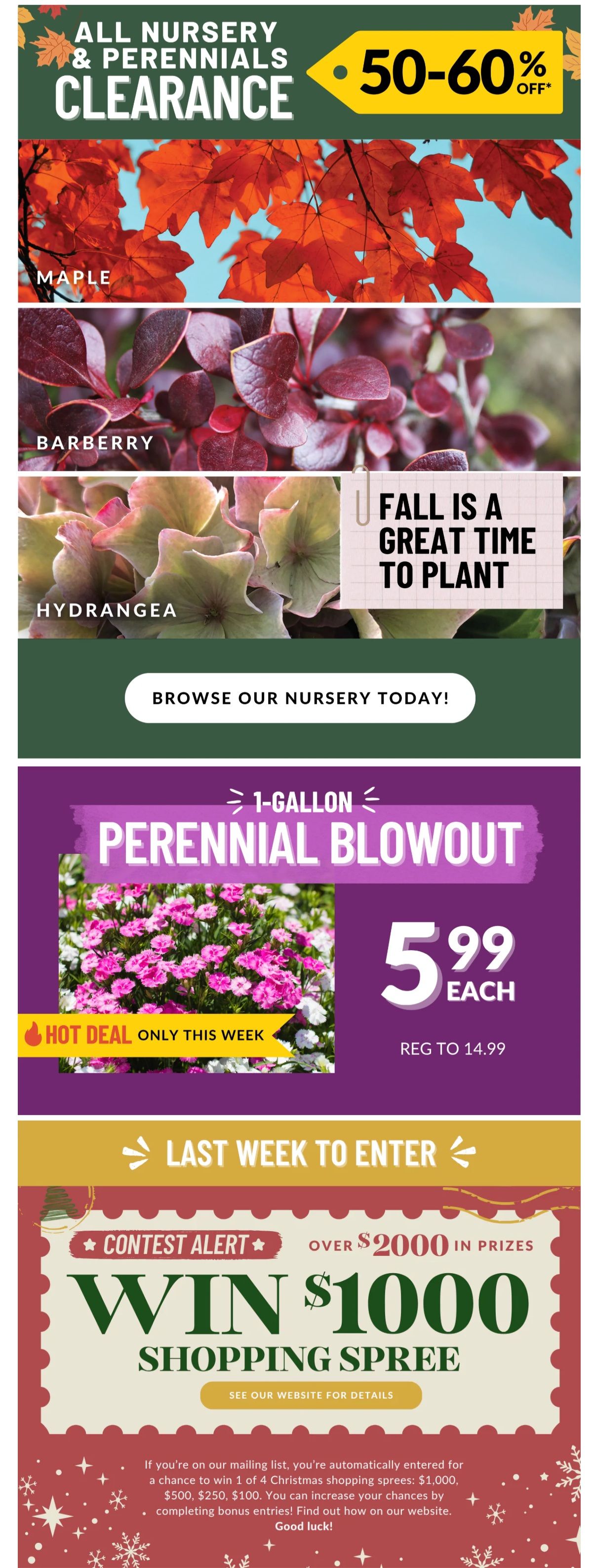 Lakeside Garden Gallery Flyer October 17 to 23