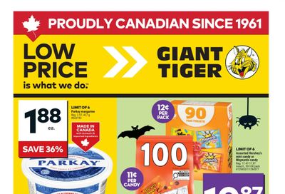 Giant Tiger (West) Flyer October 22 to 28