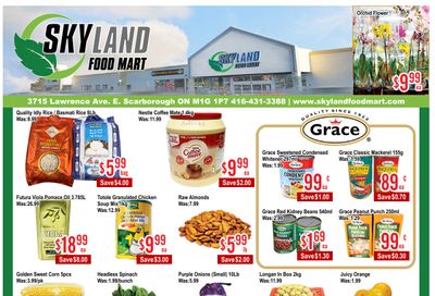 Skyland Food Mart Flyer October 24 to 30