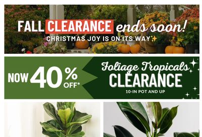 Lakeside Garden Gallery Flyer October 24 to 30