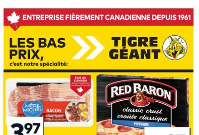 Tigre Géant Flyer October 29 to November 4