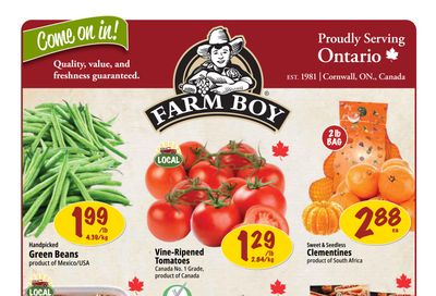 Farm Boy Flyer October 30 to November 5