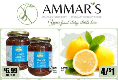 Ammar's Halal Meats Flyer October 30 to November 5