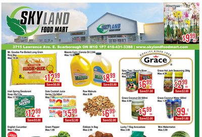 Skyland Food Mart Flyer October 31 to November 6