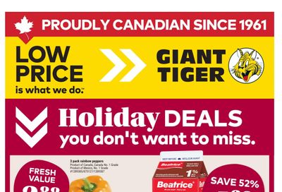 Giant Tiger (ON) Flyer November 5 to 11