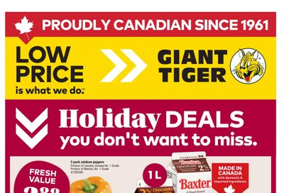 Giant Tiger (Atlantic) Flyer November 5 to 11