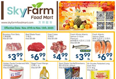 SkyFarm Food Mart Flyer November 7 to 13