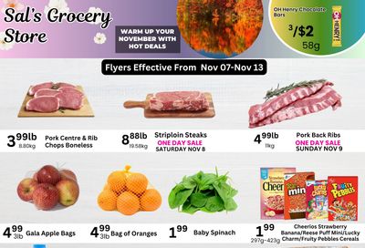Sal's Grocery Flyer November 7 to 13