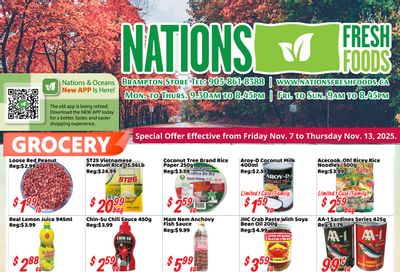 Nations Fresh Foods (Brampton) Flyer November 7 to 13