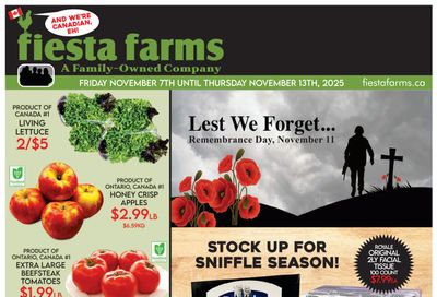 Fiesta Farms Flyer November 7 to 13