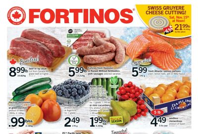 Fortinos Flyer November 13 to 19