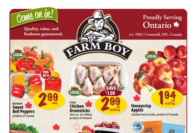 Farm Boy Flyer November 13 to 19