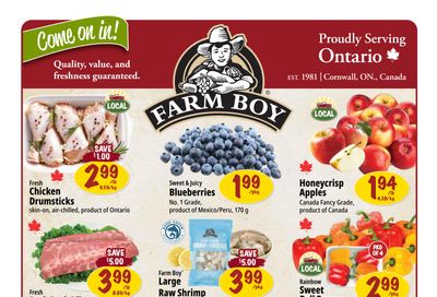 Farm Boy (Cambridge, Hamilton, King & Weber, Fairway, and Brantford) Flyer November 13 to 19