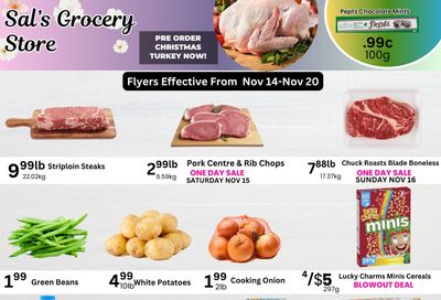 Sal's Grocery Flyer November 14 to 20