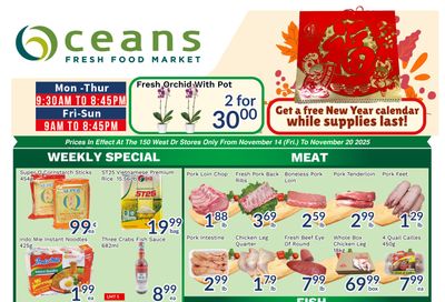 Oceans Fresh Food Market (Brampton) Flyer November 14 to 20