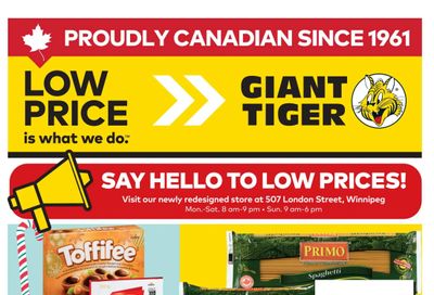 Giant Tiger (West) Flyer November 19 to 25