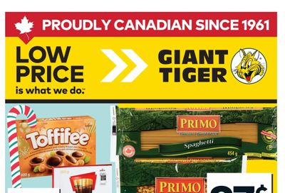 Giant Tiger (ON) Flyer November 19 to 25