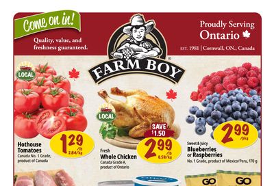 Farm Boy Flyer November 20 to 26