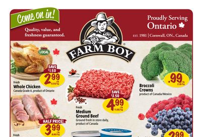 Farm Boy (Cambridge, Hamilton, king & Weber, Fairway, Brantford) Flyer November 20 to 26