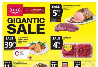 Co-op (West) Food Store Flyer November 20 to 26