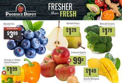 Produce Depot Flyer November 19 to 25