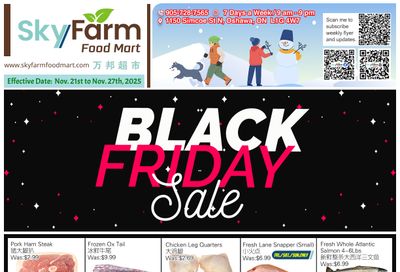 SkyFarm Food Mart Flyer November 21 to 27