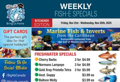 Big Al's (Kitchener) Weekly Specials November 21 to 27