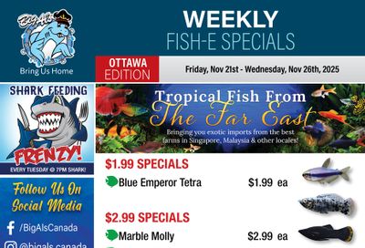 Big Al's (Ottawa) Weekly Specials November 21 to 27