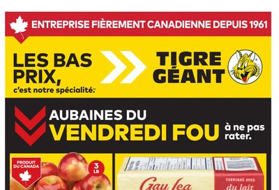 Tigre Géant Flyer November 26 to December 2