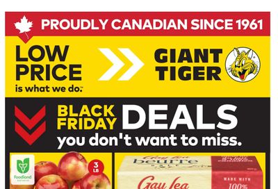 Giant Tiger (ON) Flyer November 26 to December 2