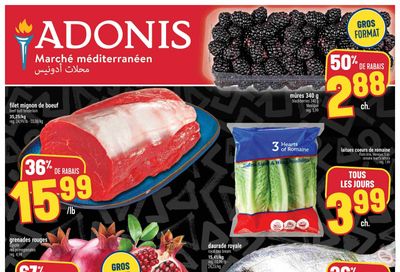 Adonis (QC) Flyer November 27 to December 3