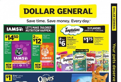 Dollar General Weekly Ad & Flyer June 21 to 27