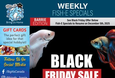 Big Al's (Barrie) Black Friday Sale November 27 to 30