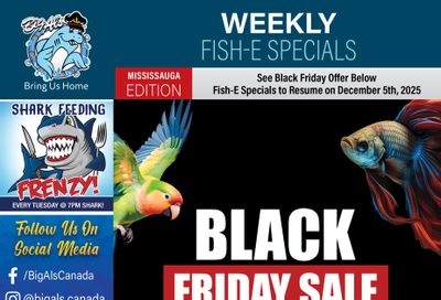 Big Al's (Mississauga) Black Friday Sale November 27 to 30