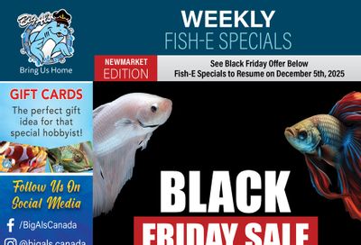 Big Al's (Newmarket) Black Friday Sale November 27 to 30