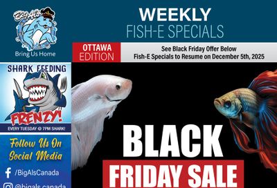 Big Al's (Ottawa) Black Friday Sale November 27 to 30