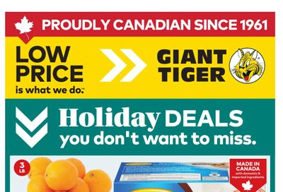 Giant Tiger (Atlantic) Flyer December 3 to 9