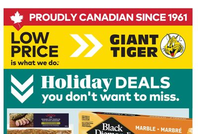 Giant Tiger (ON) Flyer December 10 to 16