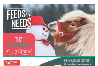 ShurGain Feeds'n Needs Flyer December 11 to 20