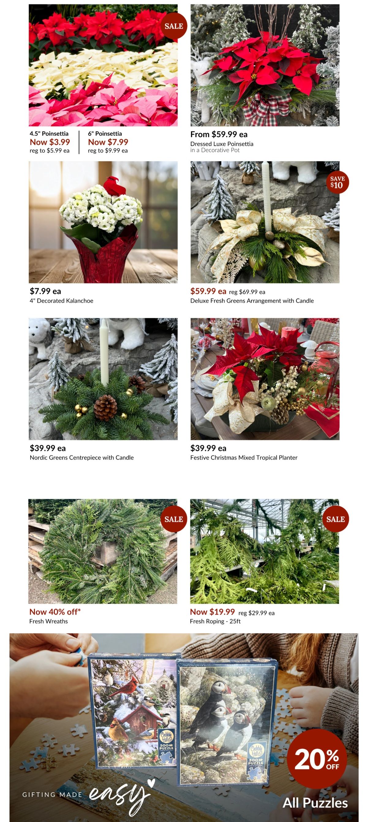 Lakeside Garden Gallery Flyer December 12 to 18