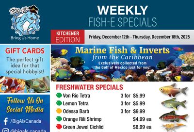 Big Al's (Kitchener) Weekly Specials December 12 to 18