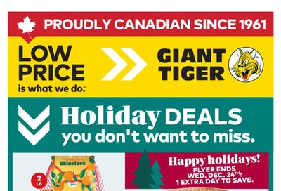 Giant Tiger (West) Flyer December 17 to 24