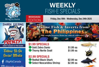 Big Al's (Mississauga) Weekly Specials December 19 to 24