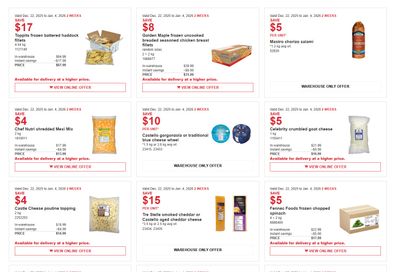 Costco Business Centre Instant Savings Flyer December 22 to January 4