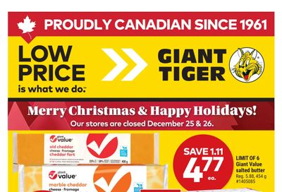Giant Tiger (Atlantic) Flyer December 25 to 30